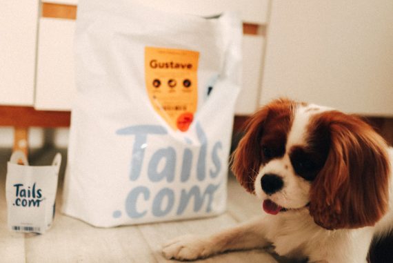 Où trouver les rations à donner à mon chien ? – Japhy